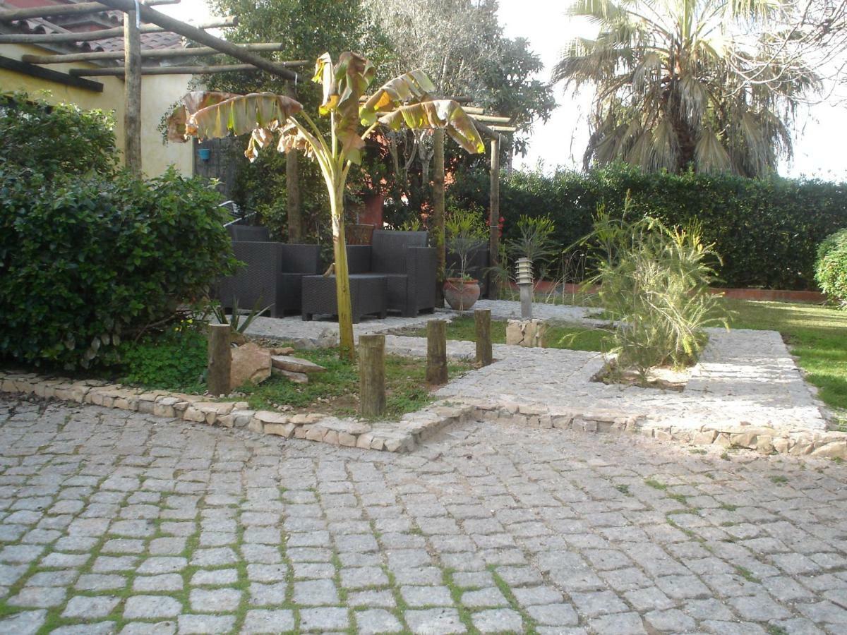 Quinta Da Sao Joao - Villa Oliveira 오양 외부 사진