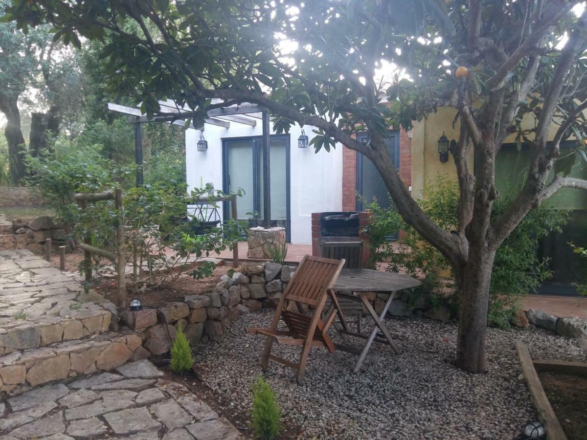 Quinta Da Sao Joao - Villa Oliveira 오양 외부 사진