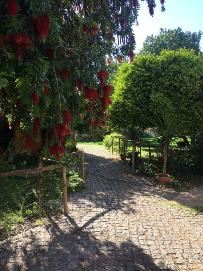 Quinta Da Sao Joao - Villa Oliveira 오양 외부 사진
